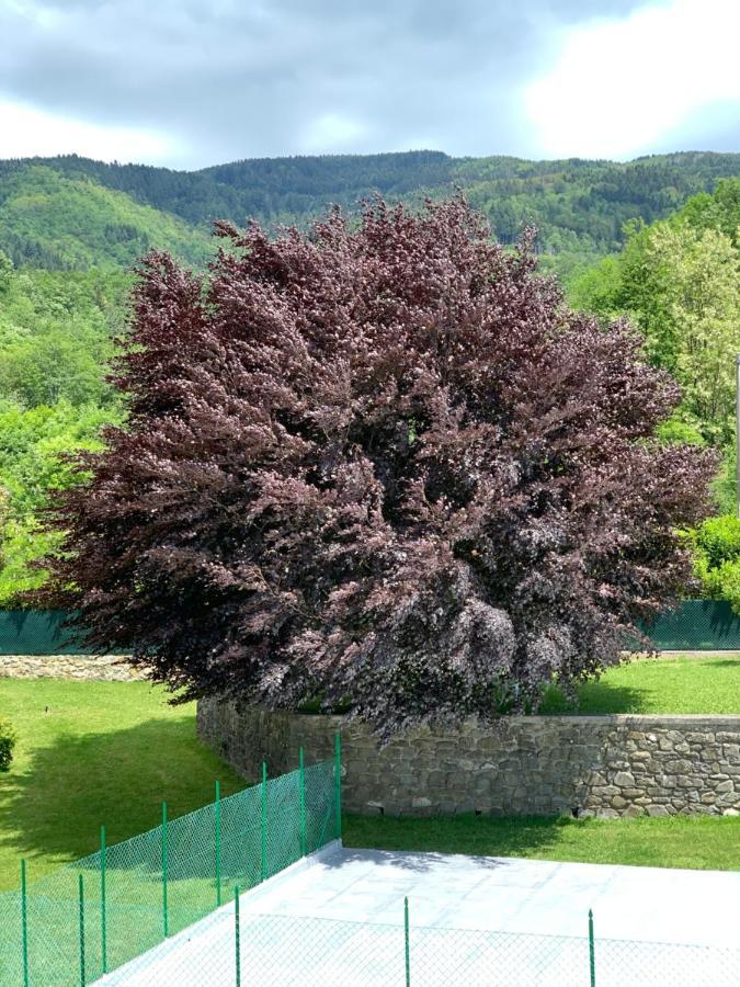 Nidi Del Faggio Rosso - Family Holiday Home Maresca Zewnętrze zdjęcie