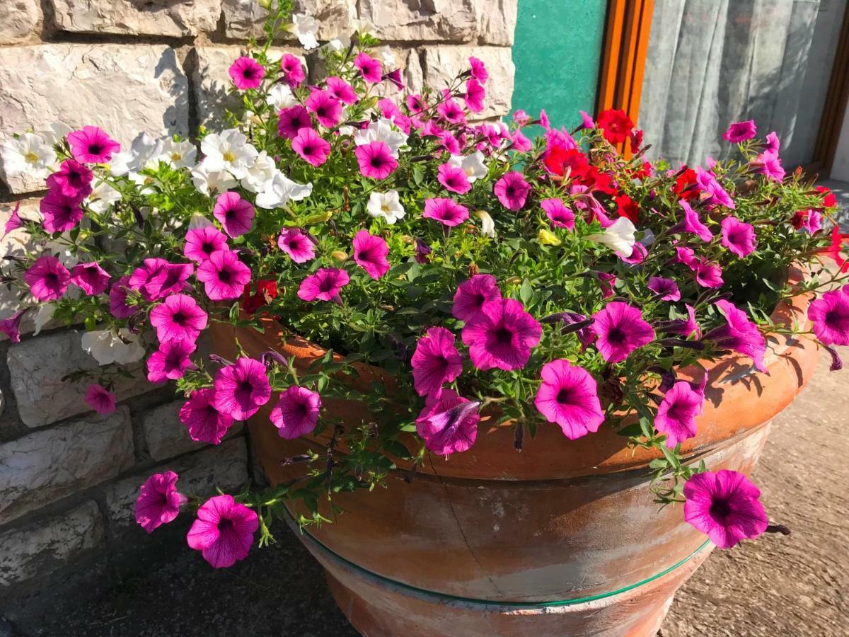 Nidi Del Faggio Rosso - Family Holiday Home Maresca Zewnętrze zdjęcie